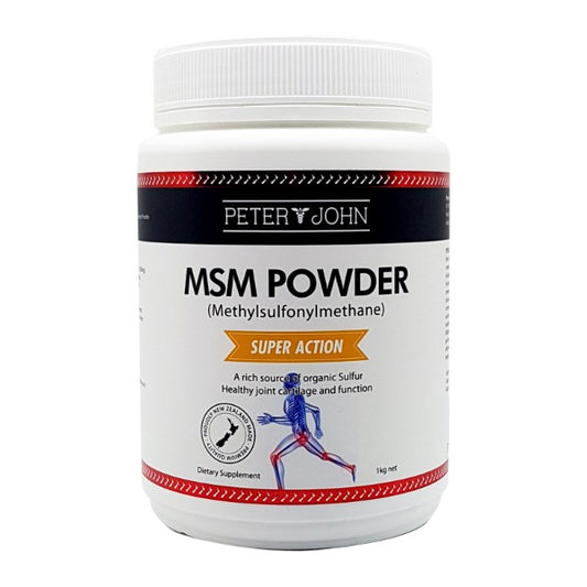 피터앤존 MSM 파우더 1KG